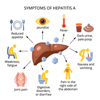 hepatitisa.png
