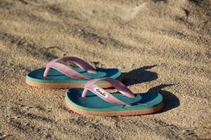 flip-flop-3122802_1280.jpg
