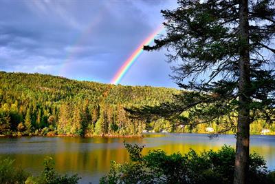 rainbow-5549830_960_720.jpg