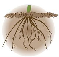 Screenshot 2021-06-05 225234.jpg