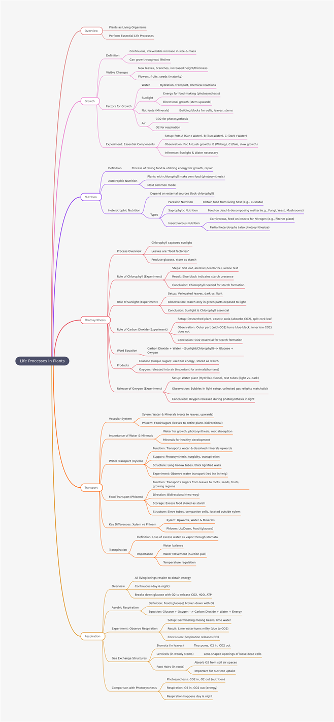 Life Processes in Plants.png