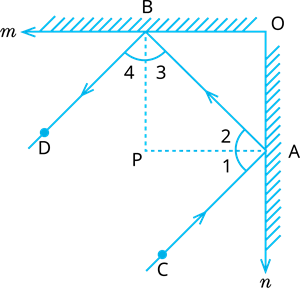 YCIND_240306_6084_lines and angles_3.png