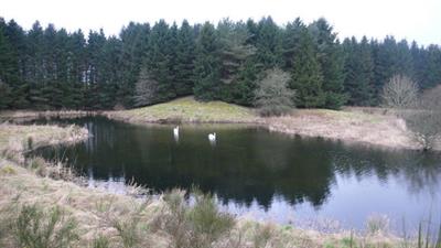 Lagg_Farm_pond_-_geograph.org.uk_-_715243.jpg