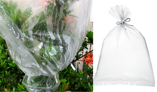 BeFunky-collage (9).png