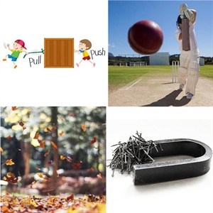 MixCollage24Dec20250529PM1843w300.jpg