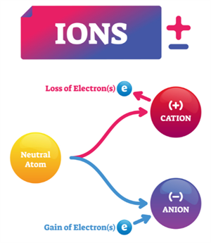 Screenshot 2025-11-10 095414.png