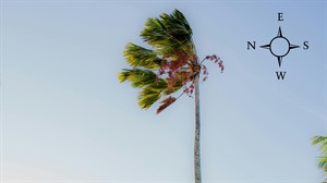 4pexels-danrley-costa-429128299-29285831 (4).jpg