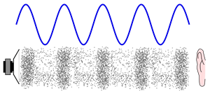 Compression and rarefaction.png