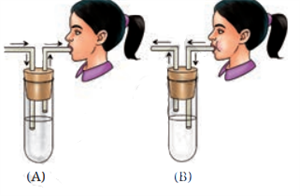 Screenshot 2025-10-29 114232.png