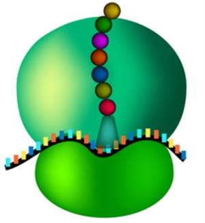 BeFunkycollage11 (17).jpg