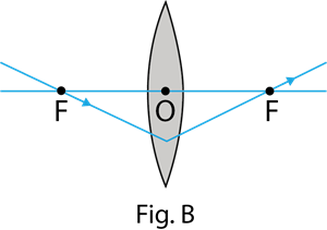 YCIND_220926_4499_Light reflection and Refraction_14.png