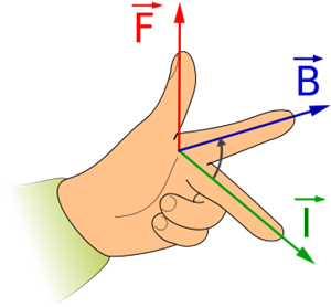 337pxLeftHandRulesvg.png