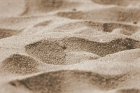 pexels-ulrick-t-15469121.jpg