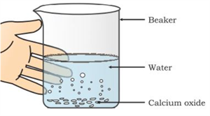 Screenshot 2026-01-21 123631.png