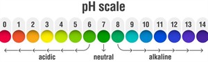 phw923.jpg