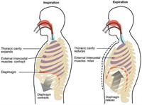 800px2316InspirationandExpirationw500.jpg