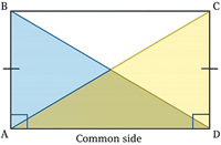 edf122b5-b8fa-4f88-8214-406cc3f3ee36.png