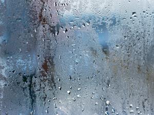 shutterstock_1009798339.jpg