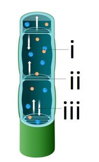 Screenshot 2021-04-23 094626.jpg