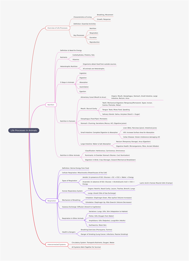 Life Processes in Animals.png