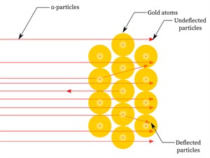 shutterstock1696472719 (1).jpg