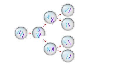 Untitled presentation (2).jpg