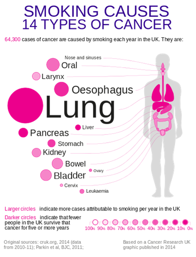 457pxTobaccocancerscausedsvg.png