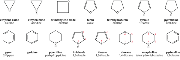 pic8.png