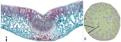 BeFunky-collage (55).jpg