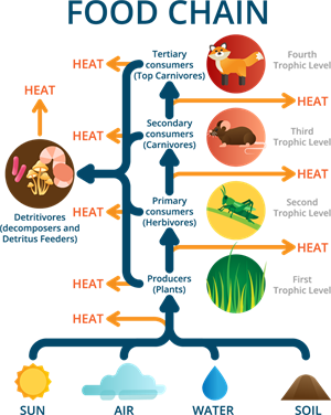 shutterstock1652015542w800 (1).png