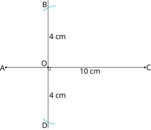 YCIND_260805_8396_Quadrilaterals2_17.png