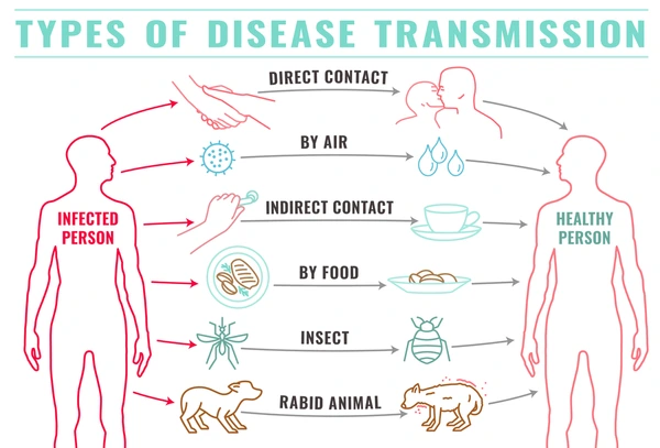 infectious-disease-transmission-landscape-poster-600nw-1914074773.jpg