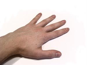 800px-Human_Hand.jpg