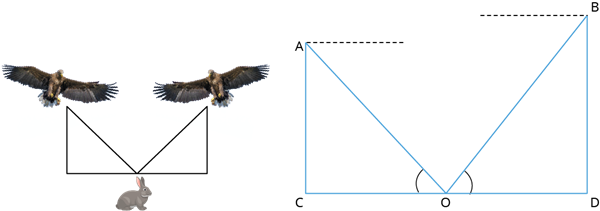 8.png