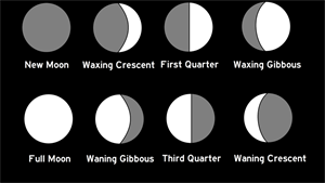 mooncycledgccg011babf1537fc646a180f05ee74ab13726w800.png