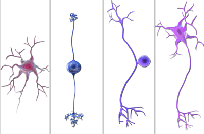 Screenshot 2025-11-13 132125.png