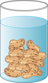 YCIND240503_6258_14.png
