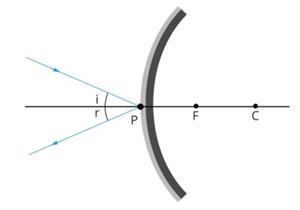 Screenshot 2022-01-15 155643.jpg