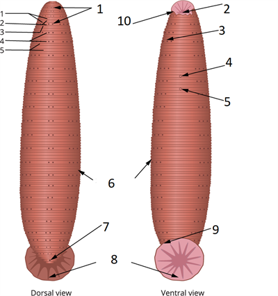 Label parts 1 St exercise final.png