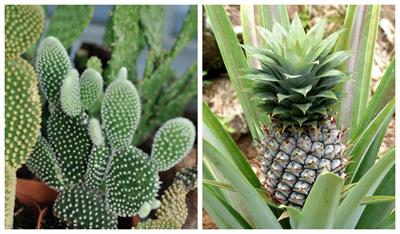 BeFunky-collage (29).jpg