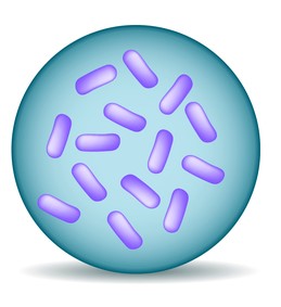 Screenshot 2022-01-22 144530.jpg