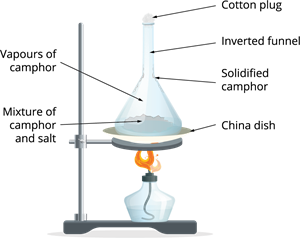 Camphor and salt.png