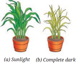 Screenshot 2025-10-30 151631.png