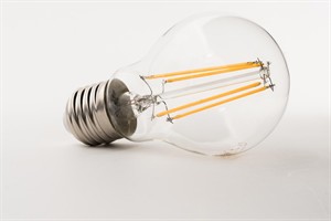 bulbs-3366583_1280.jpg