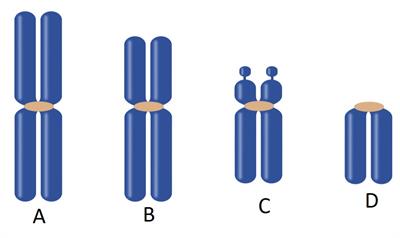 Screenshot 2021-12-28 104526.jpg