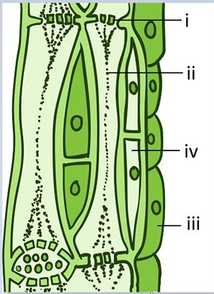 Screenshot 2021-05-04 171757.jpg