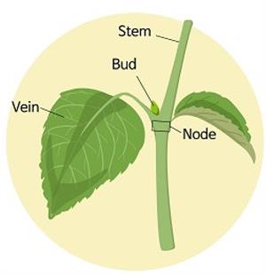 Screenshot 2021-06-05 221348.jpg