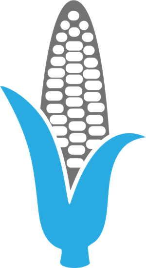 YCIND_240304_6078_corn.png