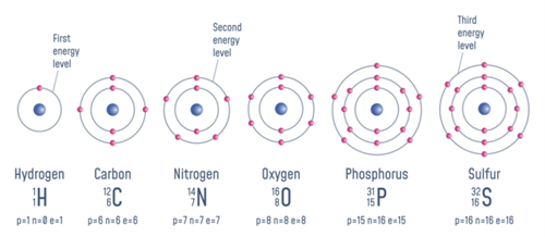 Screenshot 2025-11-10 093612.png