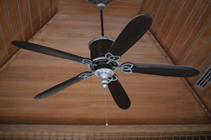 fan-414575_1280.jpg